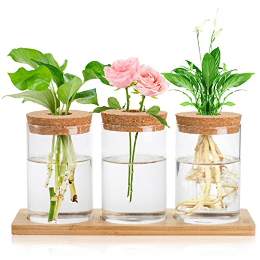Propagation Station Vase - 3 Pcs Plant Terrarium Propagation Stations,