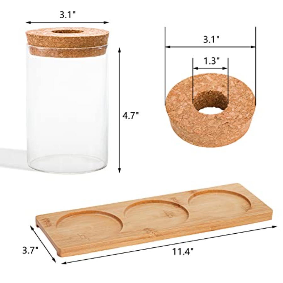3 Pcs Plant Terrarium Propagat - Propagation Station Vase บทวิจารณ์และราคา