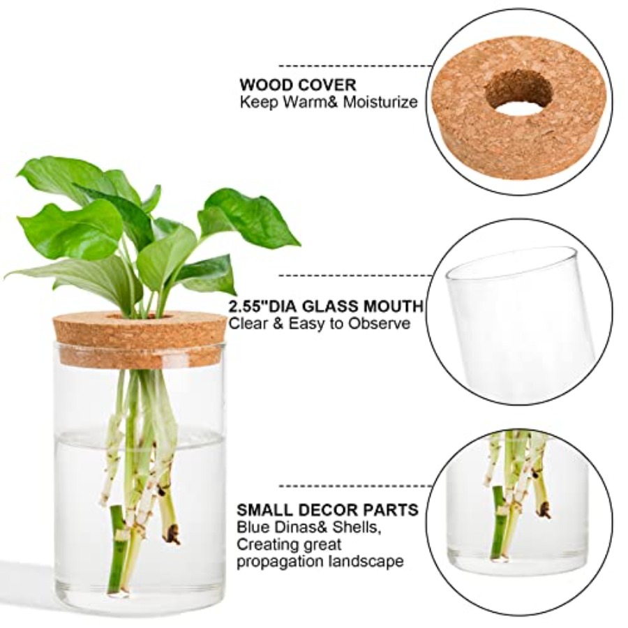 3 Pcs Plant Terrarium Propagat - Propagation Station Vase บทวิจารณ์และราคา