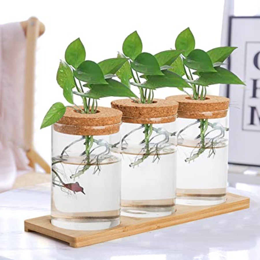 3 Pcs Plant Terrarium Propagat - Propagation Station Vase บทวิจารณ์และราคา