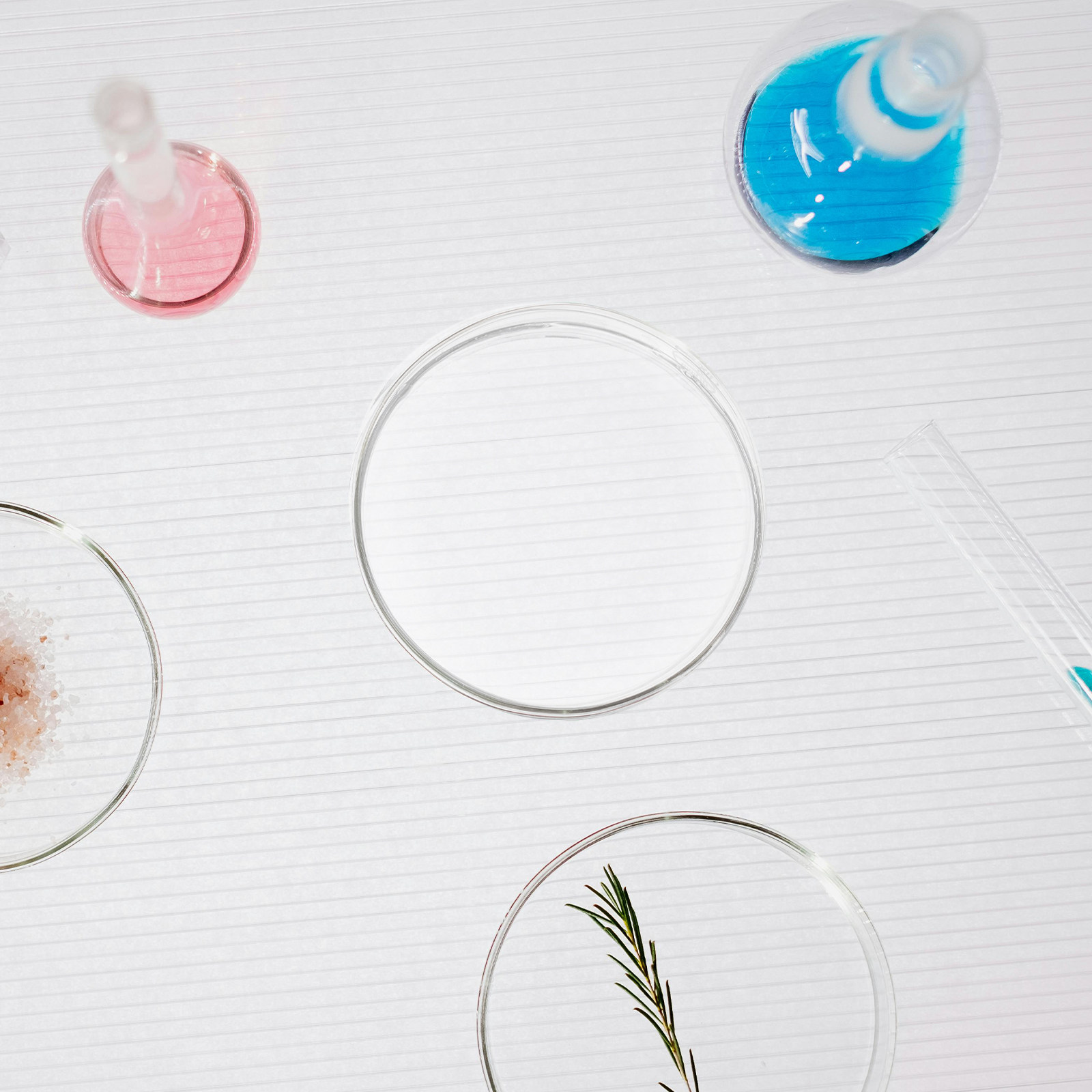 Glass Petri Dish Laboratory Fl - Agar Tissue Culture บทวิจารณ์และราคา
