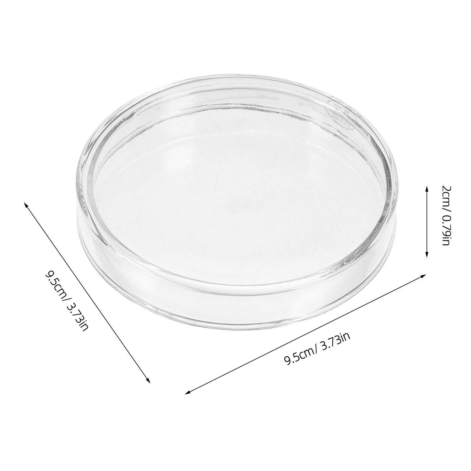 Glass Petri Dish Laboratory Fl - Agar Tissue Culture บทวิจารณ์และราคา