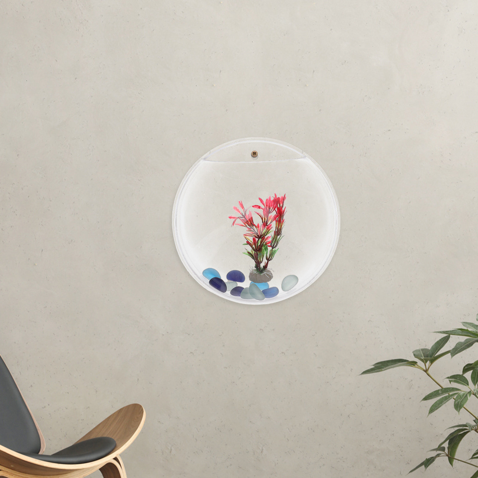 1Set Wall-Mounted Fish Tank 23 - Propagation Station Vase บทวิจารณ์และราคา