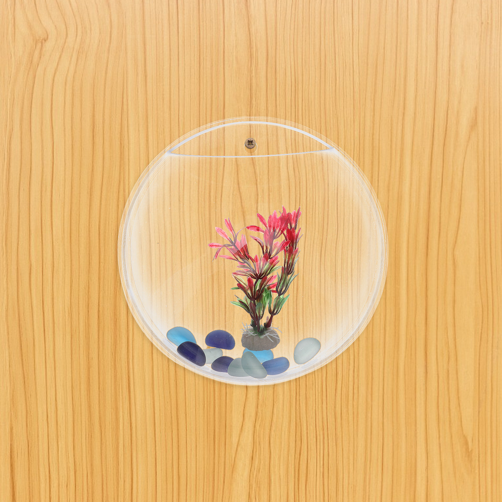 1Set Wall-Mounted Fish Tank 23 - Propagation Station Vase บทวิจารณ์และราคา
