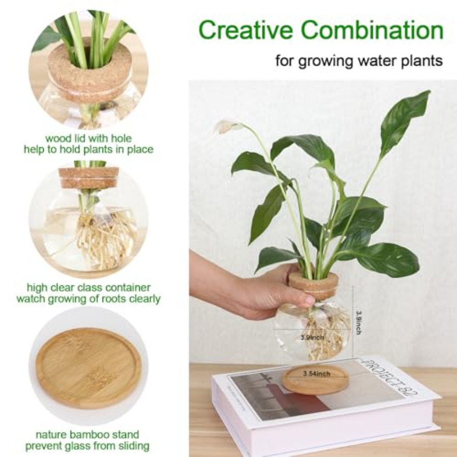 Plant Propagation Station, Hyd - Propagation Station Vase บทวิจารณ์และราคา
