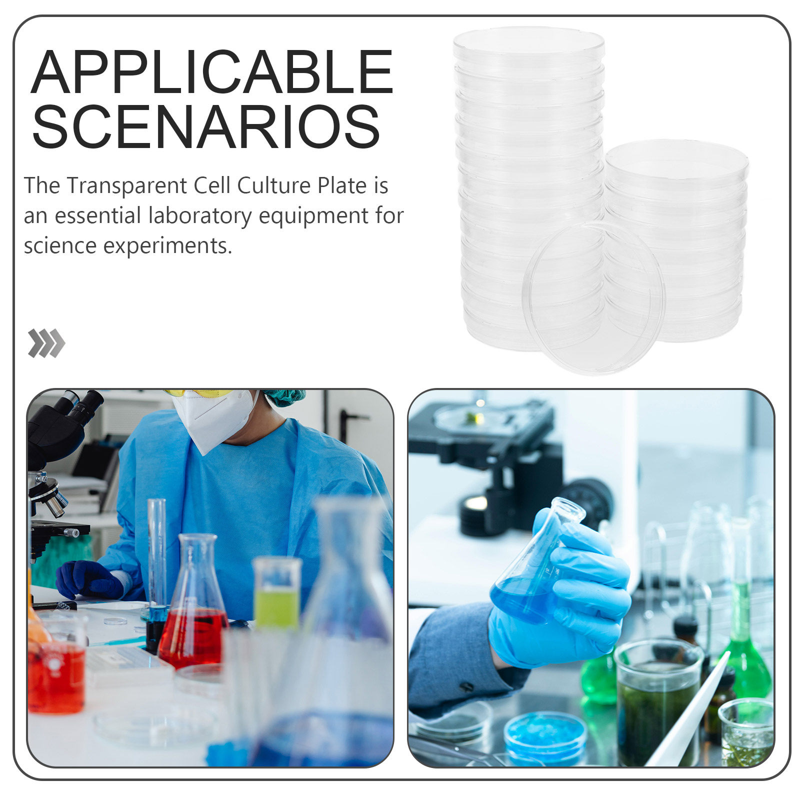 20Pcs Clear Sterile Petri Dish - Agar Tissue Culture บทวิจารณ์และราคา
