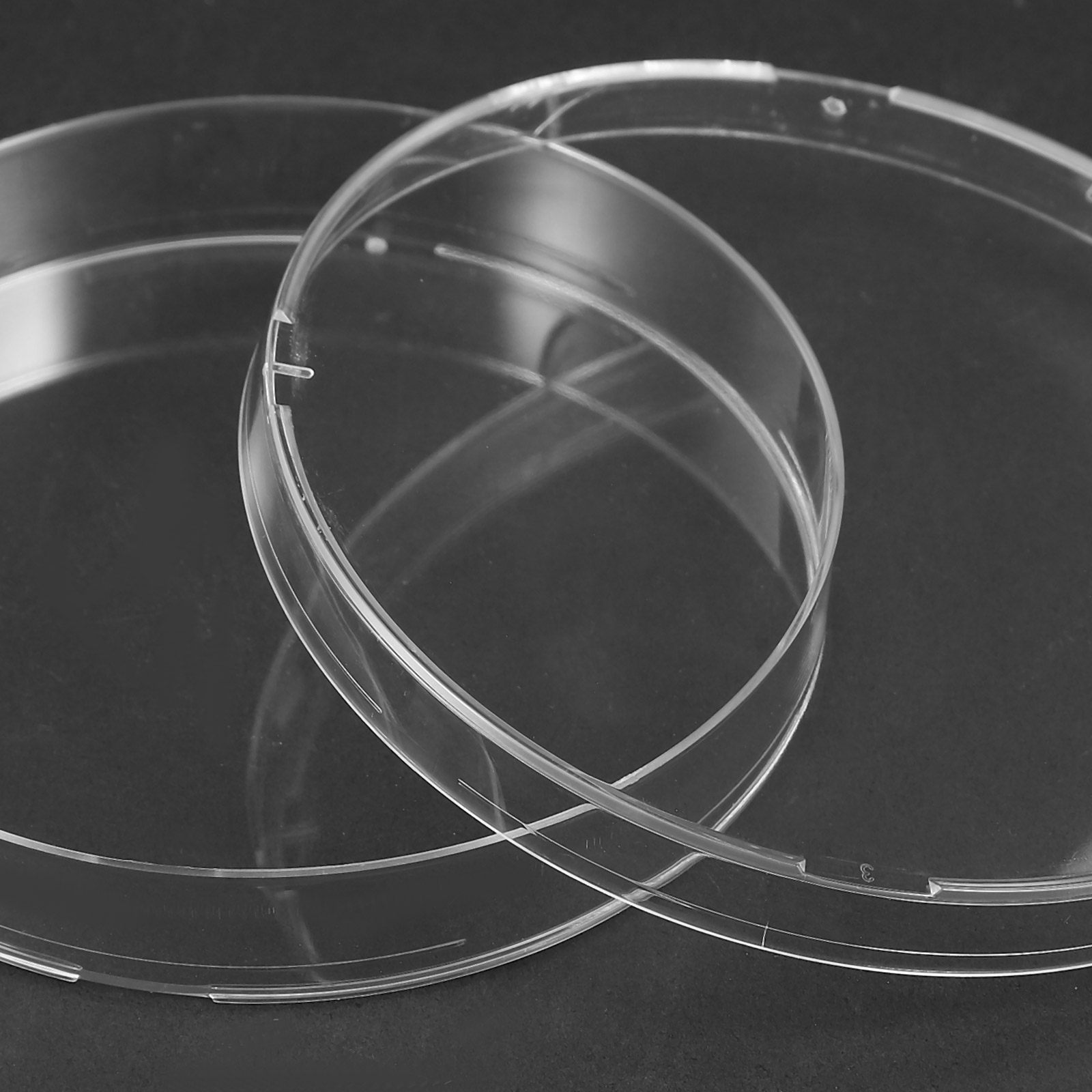 20Pcs Clear Sterile Petri Dish - Agar Tissue Culture บทวิจารณ์และราคา