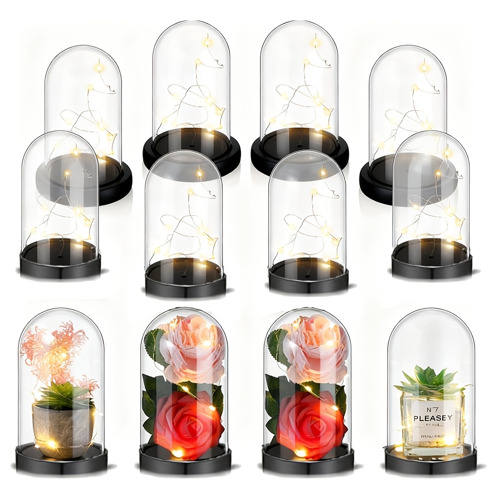 Clear Plastic Christmas Orname - Plastic Dome Clear บทวิจารณ์และราคา