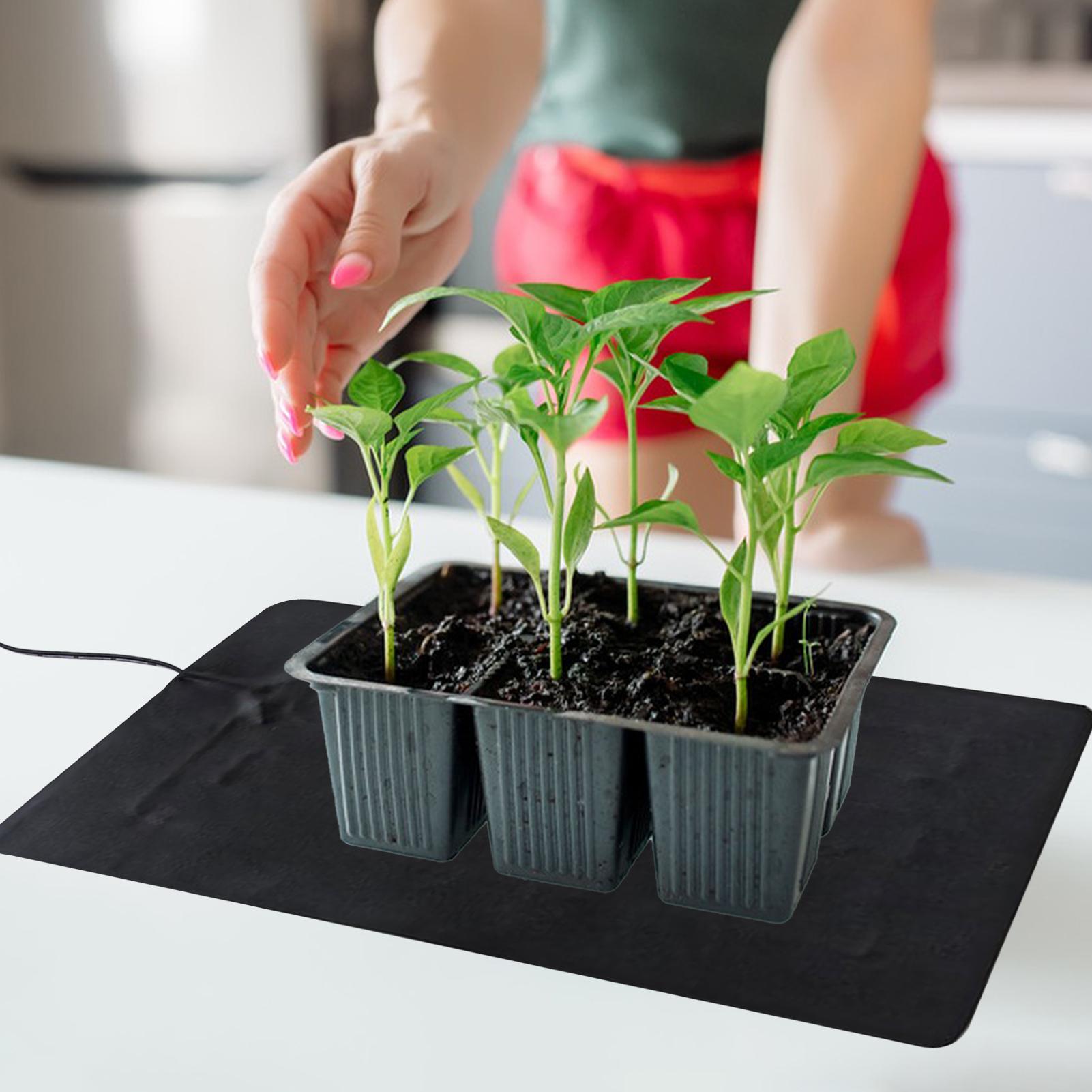 3 Temperature Adjustable Plant - Heat Mat Seedling บทวิจารณ์และราคา