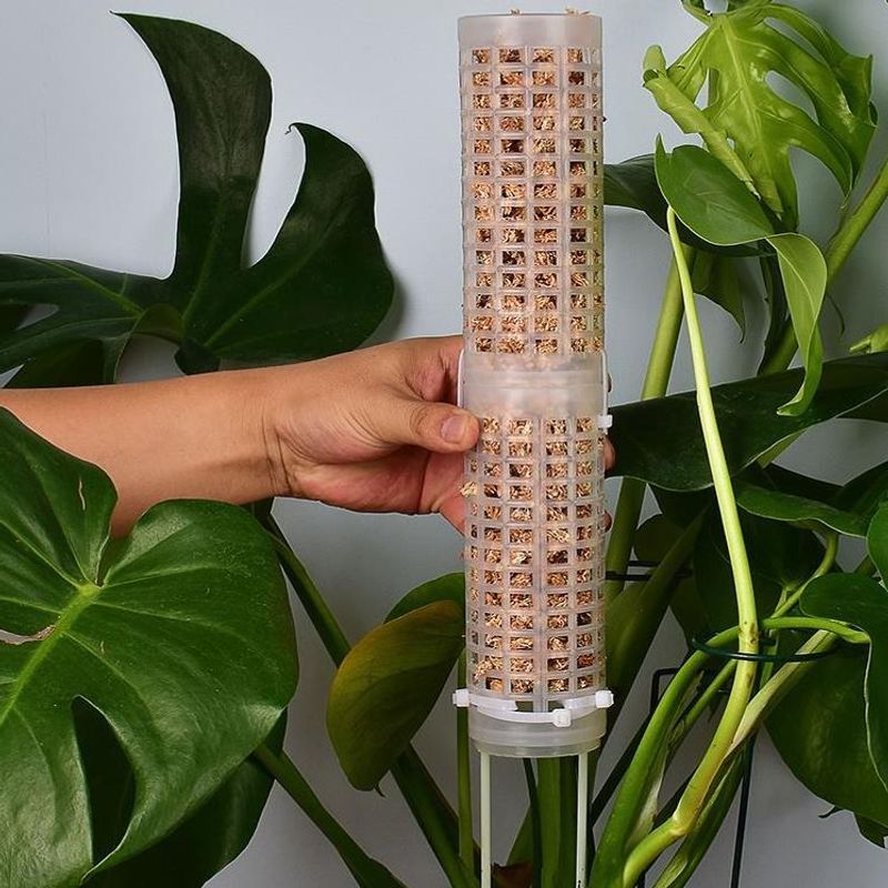 Plastics Moss Pole Plastics St - Sphagnum Moss Dry บทวิจารณ์และราคา