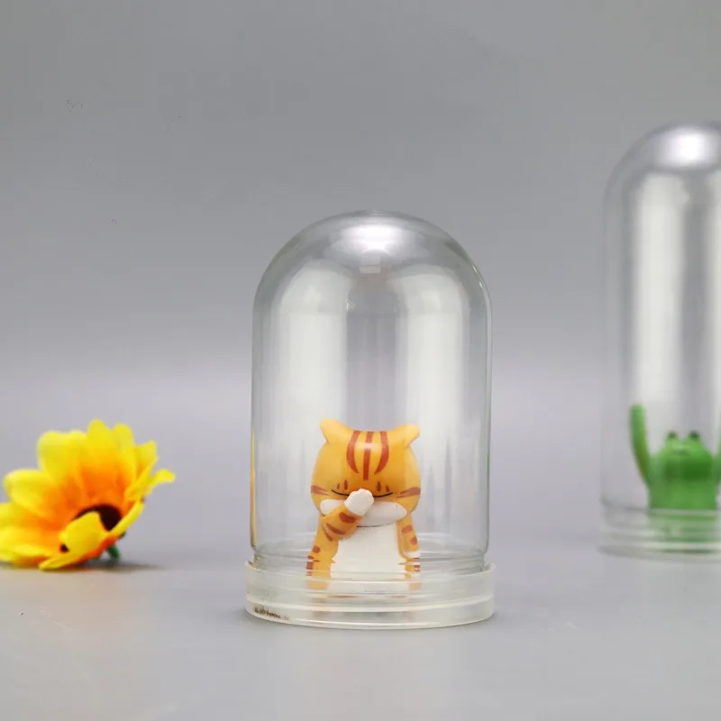 Clear Plastic Dome Display Cas - Plastic Dome Clear บทวิจารณ์และราคา
