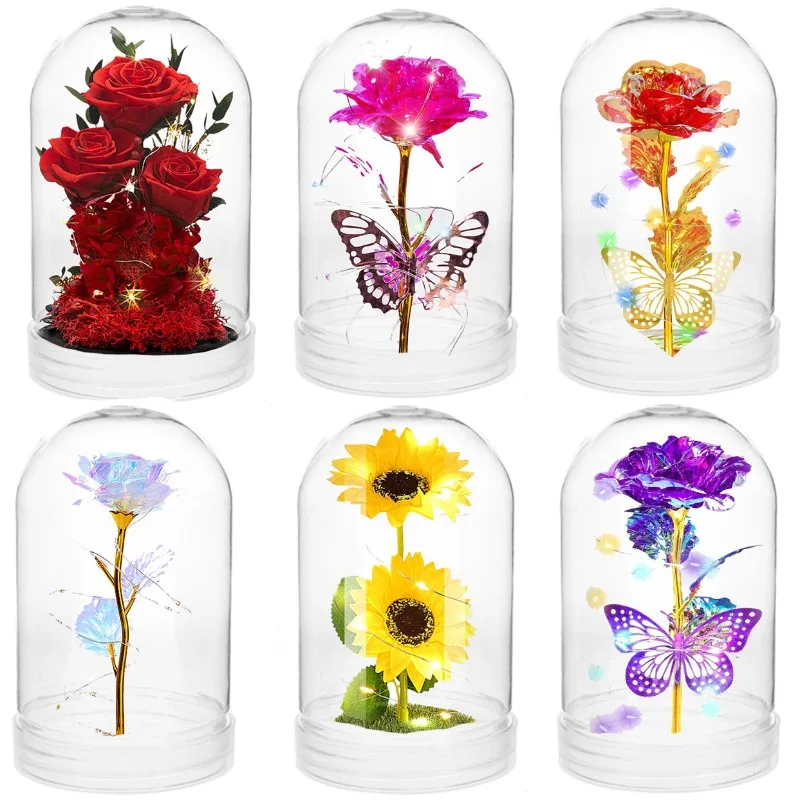 Clear Plastic Dome Display Cas - Plastic Dome Clear บทวิจารณ์และราคา