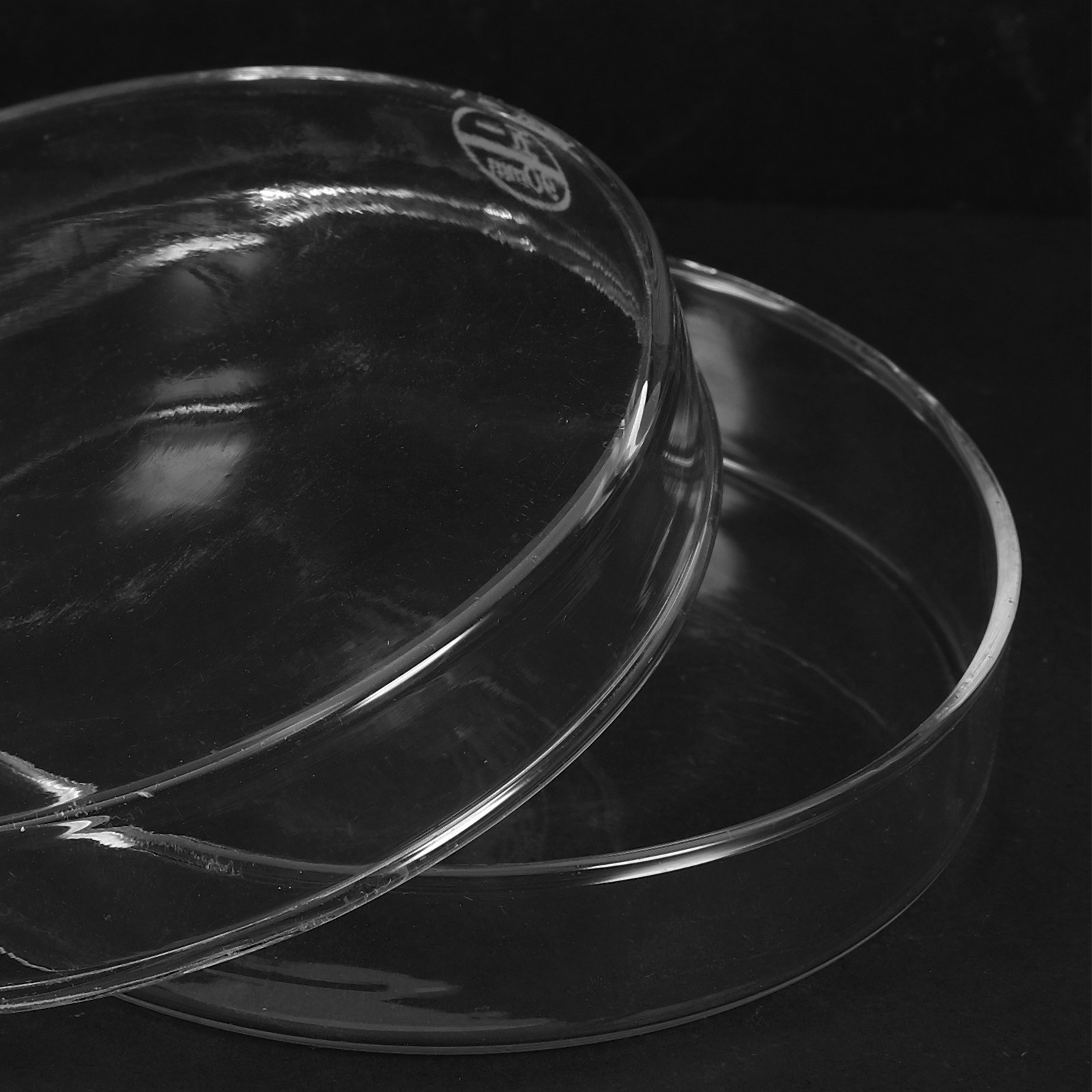 Laboratory Glass Petri Dish Fl - Agar Tissue Culture บทวิจารณ์และราคา