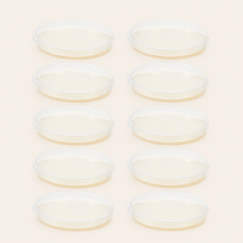 10Pcs Lb Agar Plates Portable  - Agar Tissue Culture บทวิจารณ์และราคา