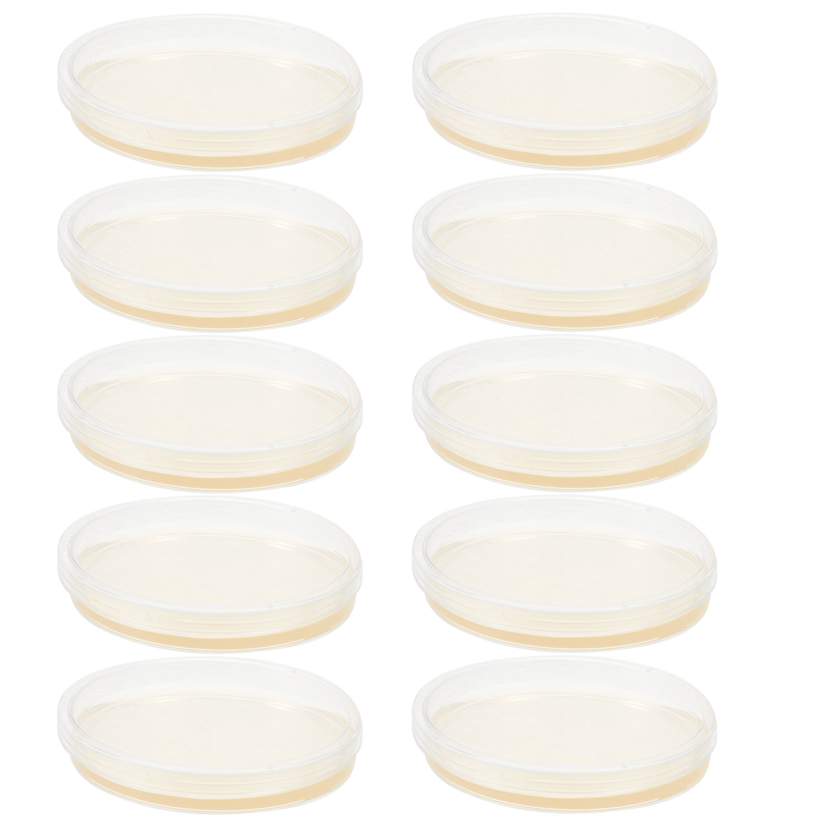 10Pcs Lb Agar Plates Portable  - Agar Tissue Culture บทวิจารณ์และราคา
