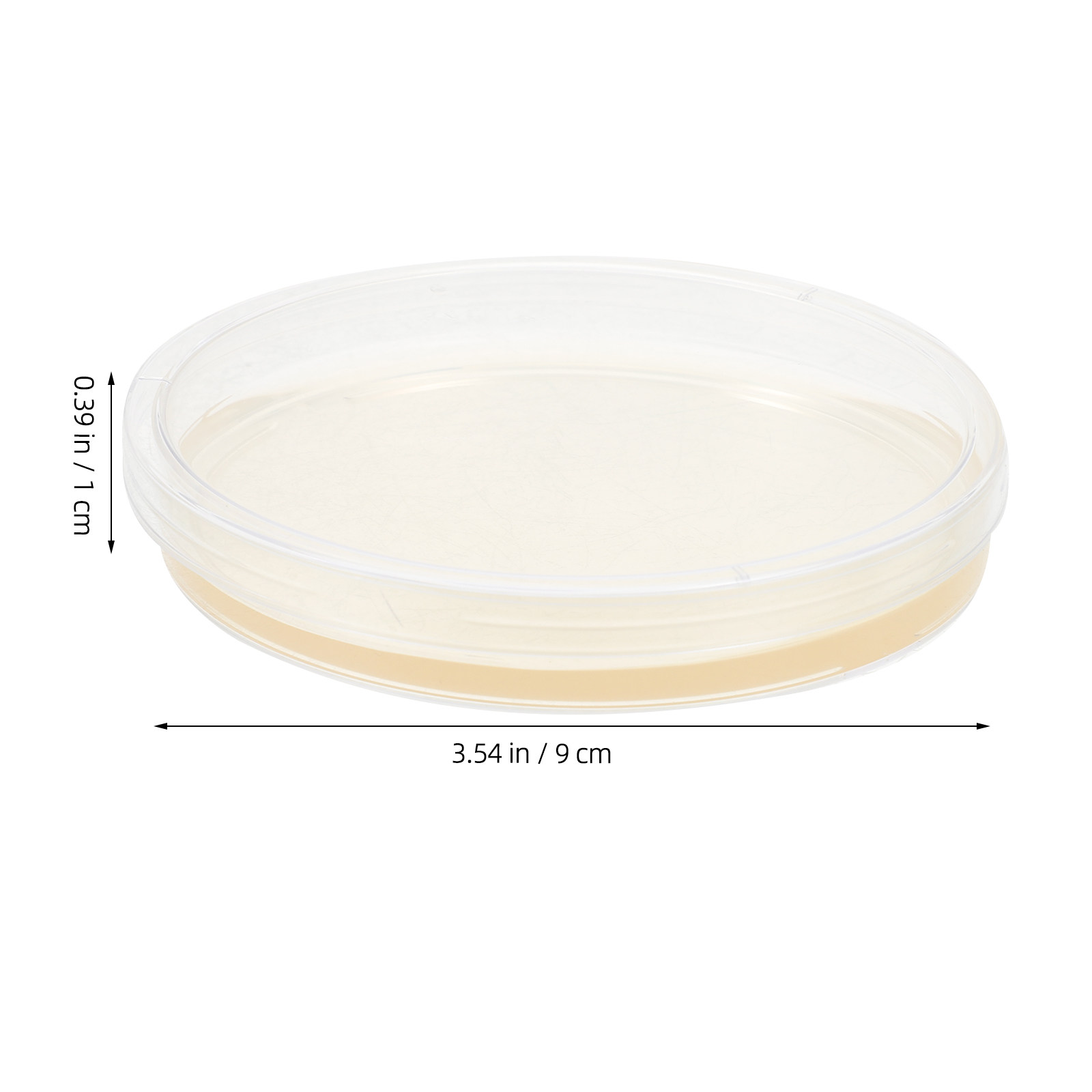 10Pcs Lb Agar Plates Portable  - Agar Tissue Culture บทวิจารณ์และราคา