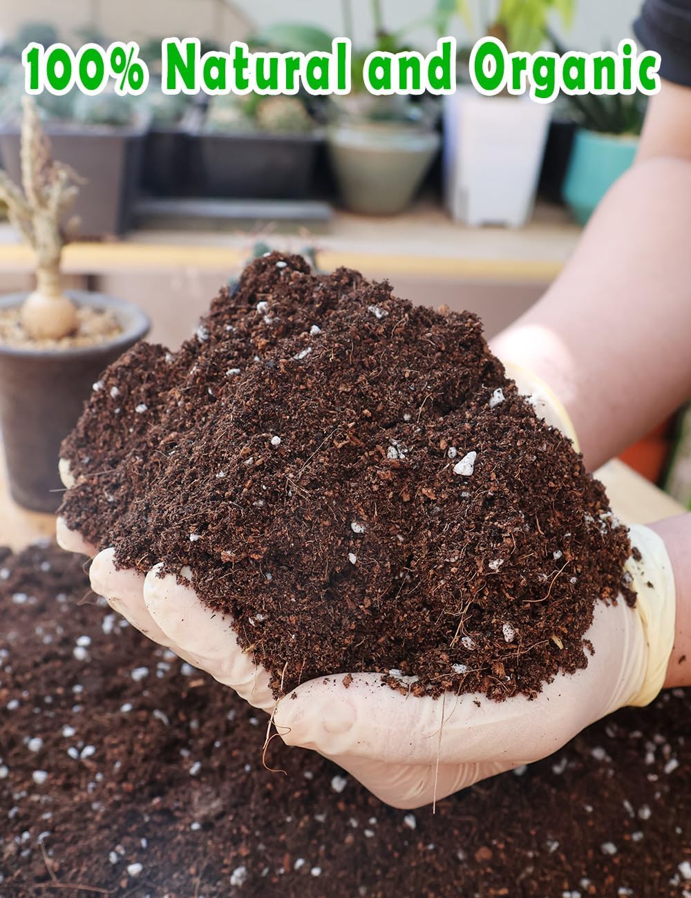 Potting Soil for All Indoor Ho - Coco Perlite Mix บทวิจารณ์และราคา