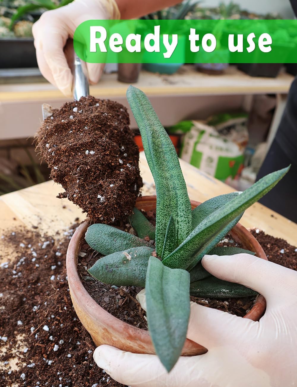 Potting Soil for All Indoor Ho - Coco Perlite Mix บทวิจารณ์และราคา