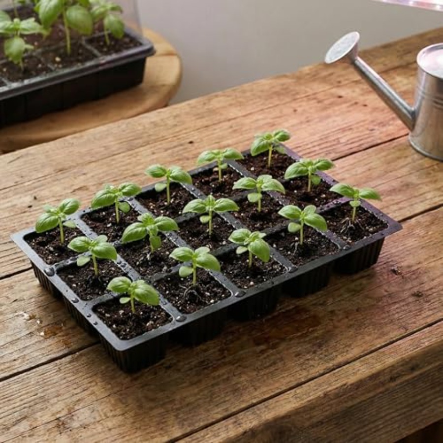 5-Set Seed Starter Tray Kits D - Humidity Dome Kit บทวิจารณ์และราคา