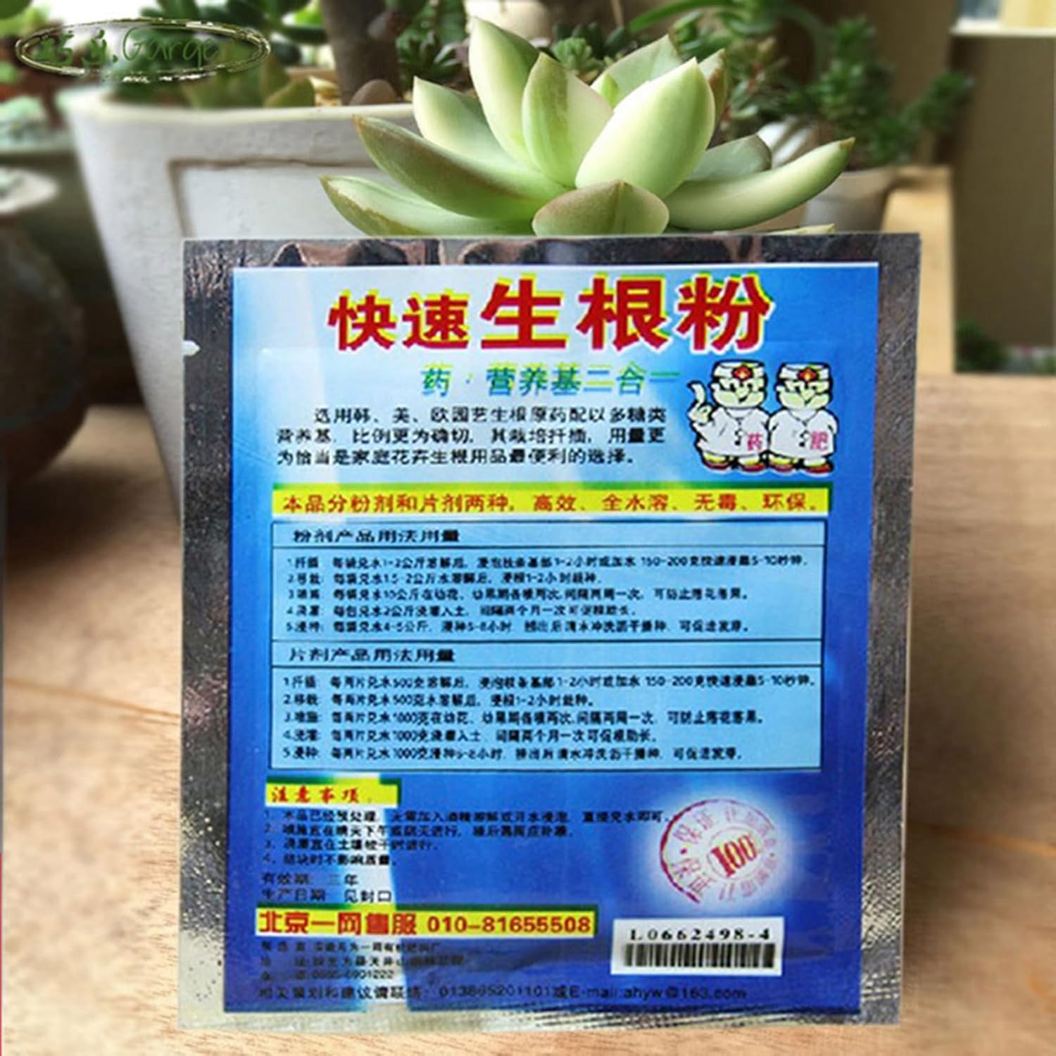 10 Bag 10g Rooting Powder for  - Rooting Hormone Powder บทวิจารณ์และราคา