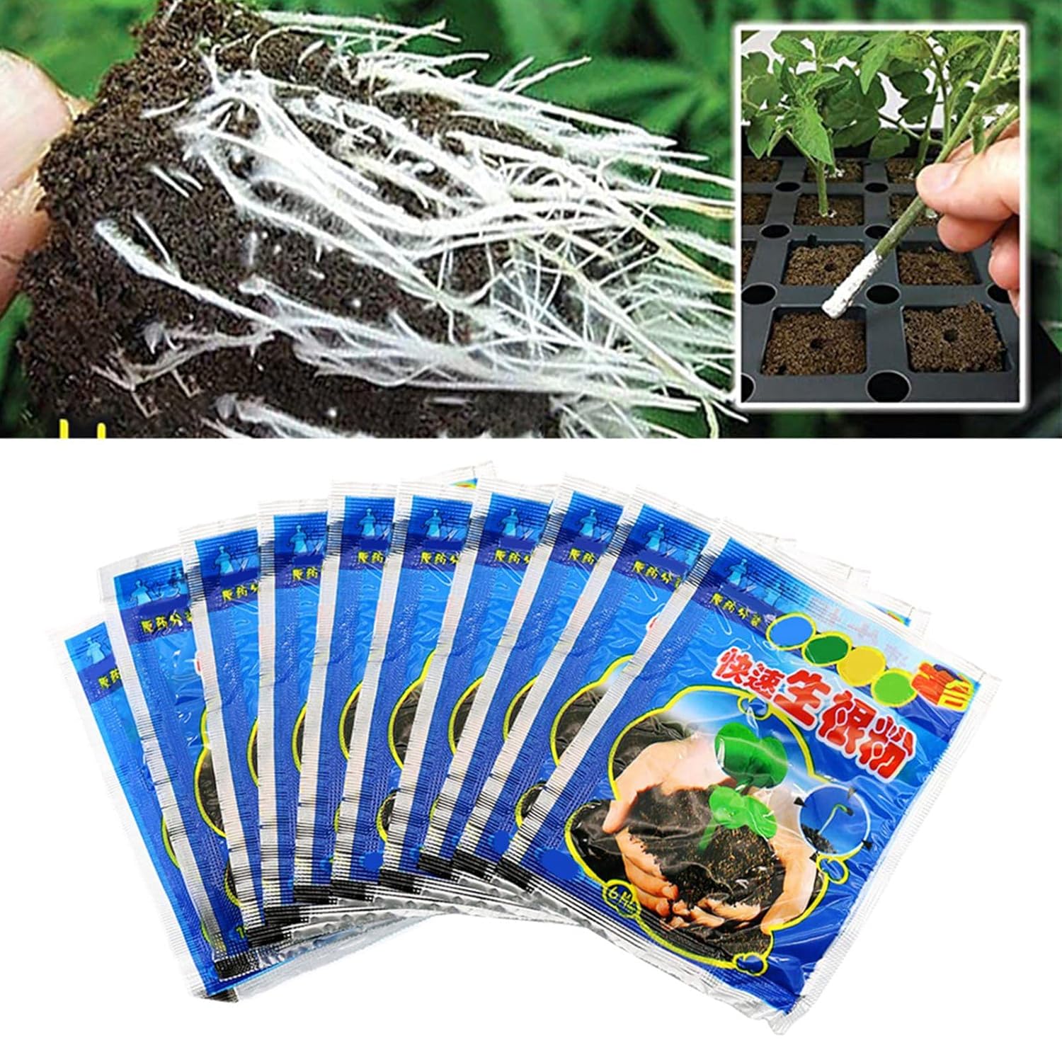 10 Bag 10g Rooting Powder for  - Rooting Hormone Powder บทวิจารณ์และราคา