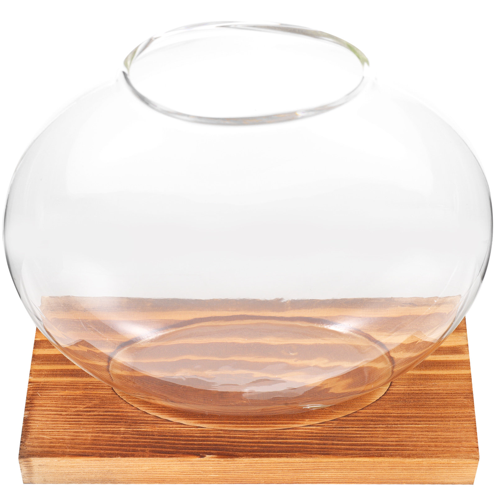 Glass Hydroponic Plant Vase wi - Propagation Station Vase บทวิจารณ์และราคา