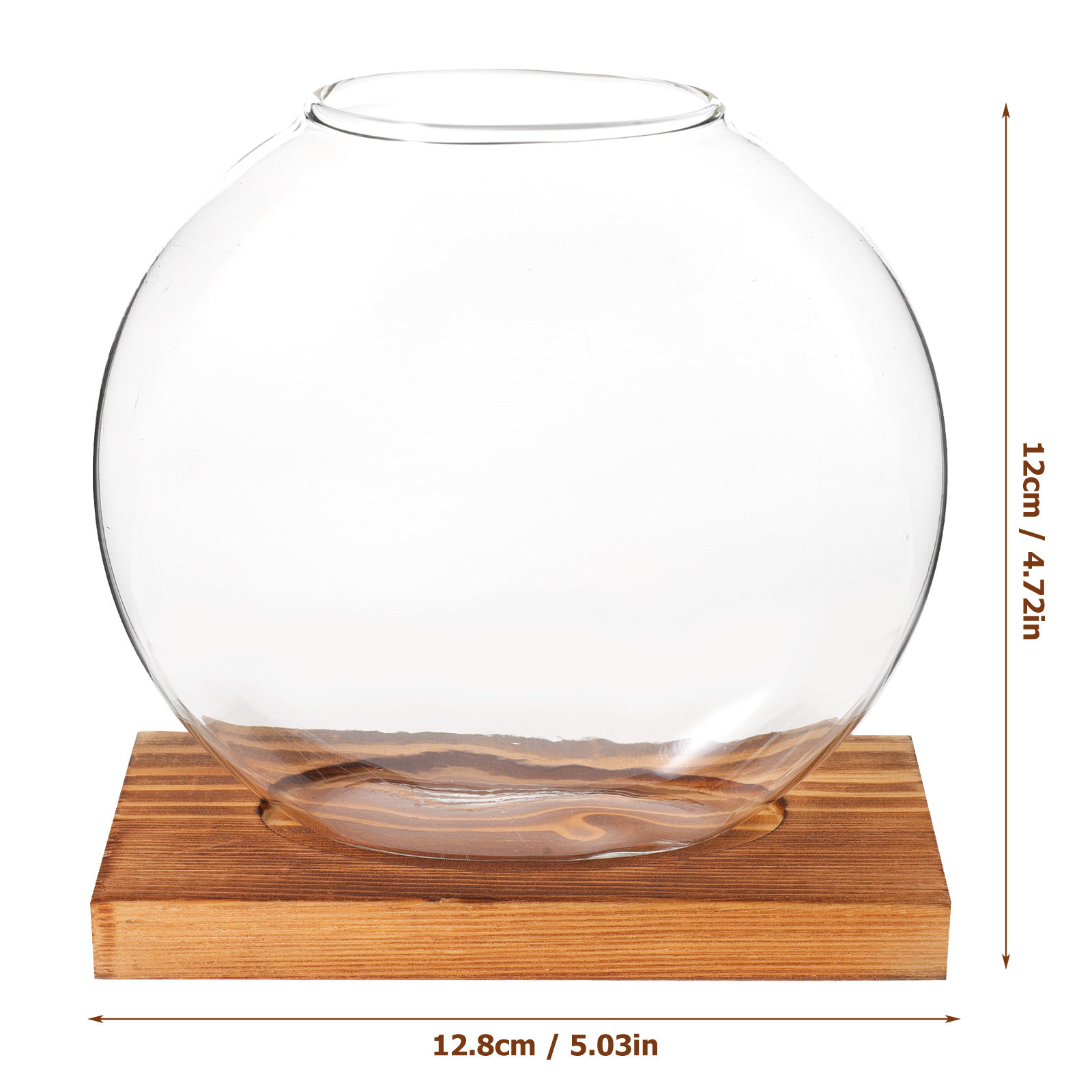 Glass Hydroponic Plant Vase wi - Propagation Station Vase บทวิจารณ์และราคา