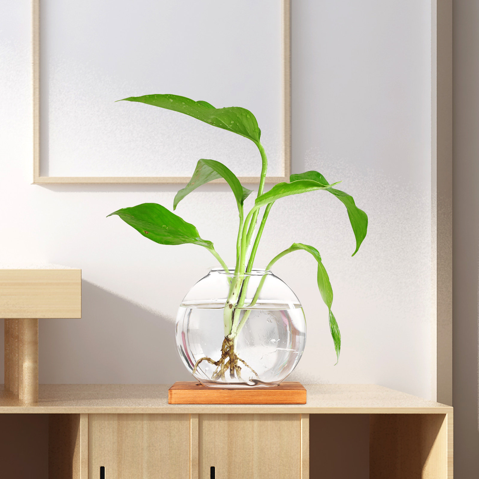 Glass Hydroponic Plant Vase wi - Propagation Station Vase บทวิจารณ์และราคา